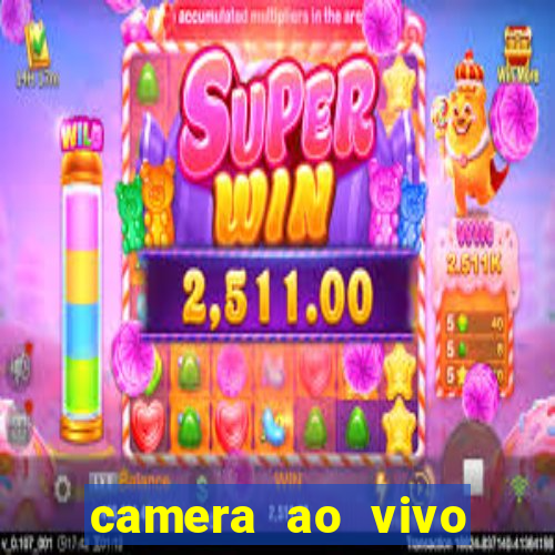 camera ao vivo beto carrero